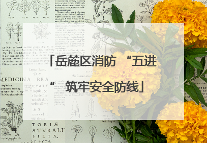 岳麓区消防 “五进” 筑牢安全防线
