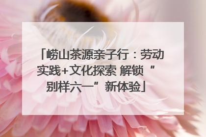 崂山茶源亲子行：劳动实践+文化探索 解锁“别样六一”新体验