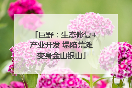 巨野：生态修复+产业开发 塌陷荒滩变身金山银山