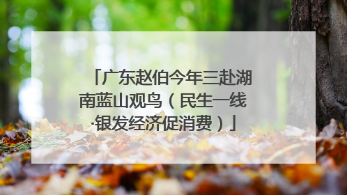 广东赵伯今年三赴湖南蓝山观鸟（民生一线·银发经济促消费）