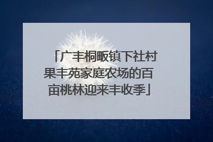 广丰桐畈镇下社村果丰苑家庭农场的百亩桃林迎来丰收季