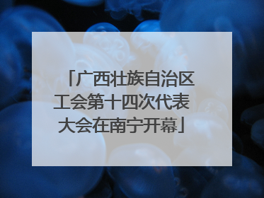 广西壮族自治区工会第十四次代表大会在南宁开幕