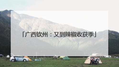 广西钦州：又到辣椒收获季