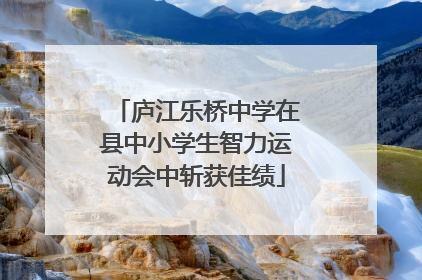 庐江乐桥中学在县中小学生智力运动会中斩获佳绩