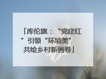 库伦旗：“党建红”引领“环境美” 共绘乡村新画卷