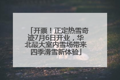 开票！正定热雪奇迹7月6日开业，华北最大室内雪场带来四季滑雪新体验
