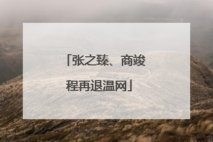 张之臻、商竣程再退温网