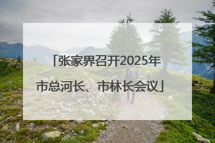 张家界召开2025年市总河长、市林长会议