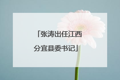 张涛出任江西分宜县委书记