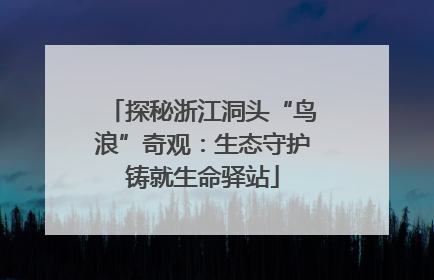 探秘浙江洞头“鸟浪”奇观：生态守护铸就生命驿站