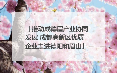 推动成德眉产业协同发展 成都高新区优质企业走进德阳和眉山