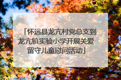 怀远县龙亢村党总支到龙亢镇实验小学开展关爱留守儿童慰问活动