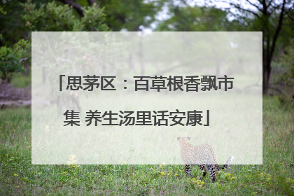 思茅区：百草根香飘市集 养生汤里话安康