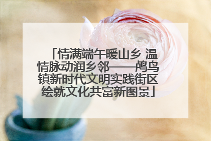情满端午暖山乡 温情脉动润乡邻——鸬鸟镇新时代文明实践街区绘就文化共富新图景
