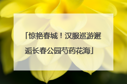 惊艳春城！汉服巡游邂逅长春公园芍药花海