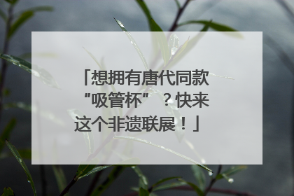 想拥有唐代同款“吸管杯”？快来这个非遗联展！