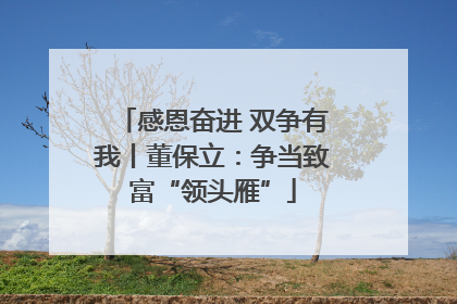 感恩奋进 双争有我丨董保立：争当致富“领头雁”