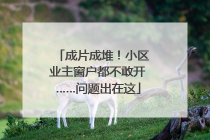 成片成堆！小区业主窗户都不敢开……问题出在这