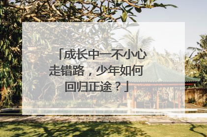 成长中一不小心走错路，少年如何回归正途？