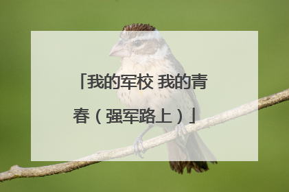 我的军校 我的青春（强军路上）