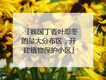 我国丁香叶忍冬的最大分布区，开建植物保护小区