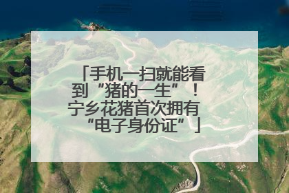 手机一扫就能看到“猪的一生”！宁乡花猪首次拥有“电子身份证”