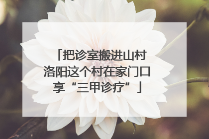 把诊室搬进山村 洛阳这个村在家门口享“三甲诊疗”