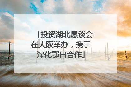 投资湖北恳谈会在大阪举办，携手深化鄂日合作