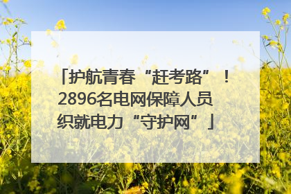 护航青春“赶考路”！2896名电网保障人员织就电力“守护网”