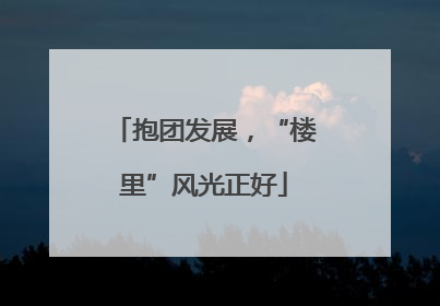 抱团发展，“楼里”风光正好