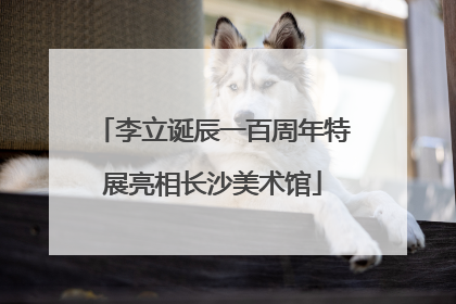 李立诞辰一百周年特展亮相长沙美术馆