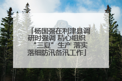 杨国强在利津县调研时强调 精心组织“三夏”生产 落实落细防汛备汛工作