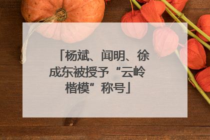 杨斌、闻明、徐成东被授予“云岭楷模”称号