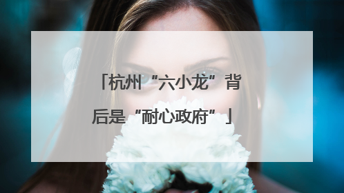 杭州“六小龙”背后是“耐心政府”