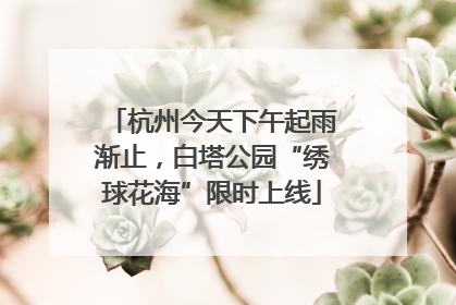 杭州今天下午起雨渐止，白塔公园“绣球花海”限时上线