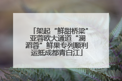 架起“鲜甜桥梁” 亚蓉欧大通道“澜湄蓉”鲜果专列顺利运抵成都青白江