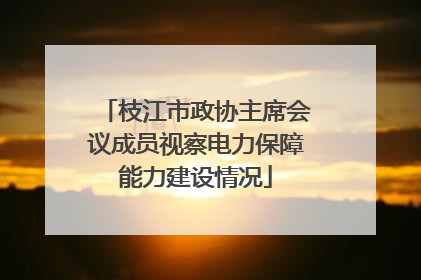 枝江市政协主席会议成员视察电力保障能力建设情况