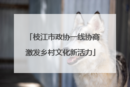枝江市政协一线协商激发乡村文化新活力