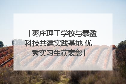 枣庄理工学校与泰盈科技共建实践基地 优秀实习生获表彰