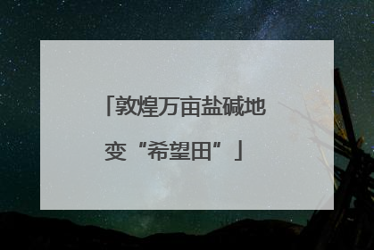 敦煌万亩盐碱地变“希望田”
