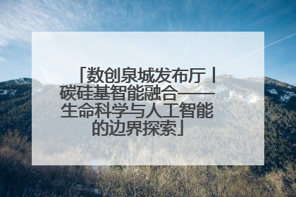 数创泉城发布厅丨碳硅基智能融合——生命科学与人工智能的边界探索