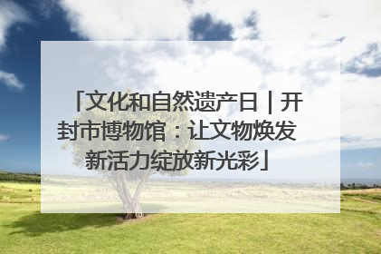 文化和自然遗产日｜开封市博物馆：让文物焕发新活力绽放新光彩