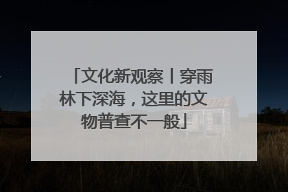文化新观察丨穿雨林下深海，这里的文物普查不一般