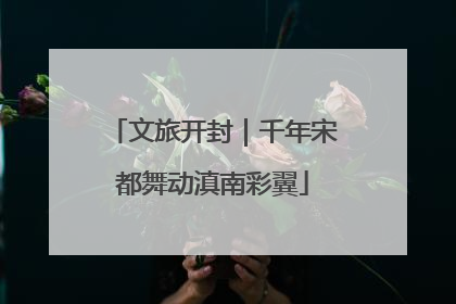 文旅开封｜千年宋都舞动滇南彩翼