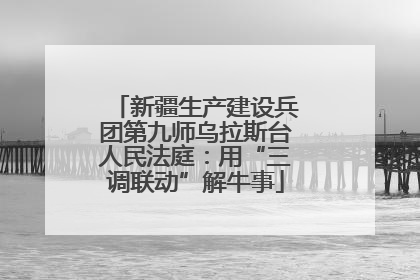 新疆生产建设兵团第九师乌拉斯台人民法庭：用“三调联动”解牛事