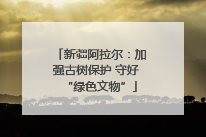 新疆阿拉尔：加强古树保护 守好“绿色文物”