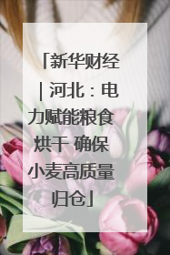 新华财经｜河北：电力赋能粮食烘干 确保小麦高质量归仓