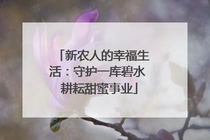 新农人的幸福生活：守护一库碧水 耕耘甜蜜事业