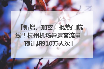 新增、加密一批热门航线！杭州机场暑运客流量预计超910万人次