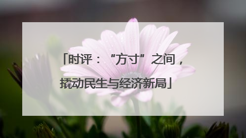 时评：“方寸”之间，撬动民生与经济新局